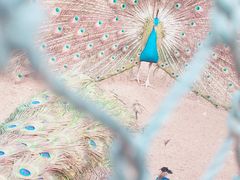 -兰陵国家农业公园