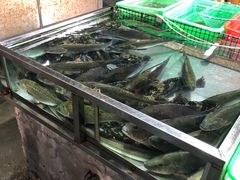-都斛海鲜街