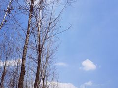 -府河摄影公园