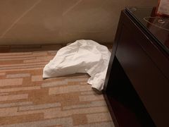 -广州白云机场雅高铂尔曼大酒店