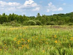 -塞罕坝国家级自然保护区