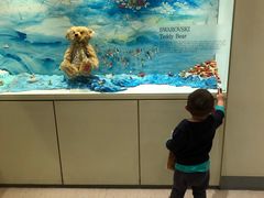 -济州岛泰迪熊博物馆