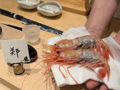 -嶺寿司