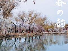 -颐和园