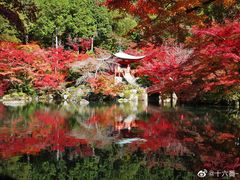 -醍醐寺