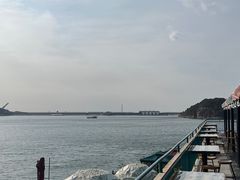 -望湖烤鱼