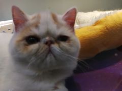 -乐宠宠物店(世纪金源店)