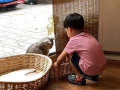 -猫友咖啡店(玉林西路店)