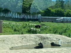 -西安秦岭野生动物园