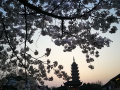 -常熟方塔园