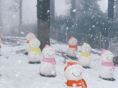 -瓦屋山景区