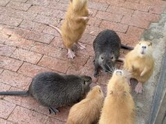 -水上乐园·欢乐世界