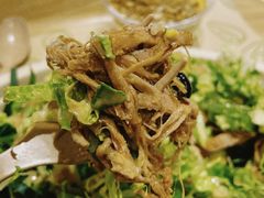 -油梨树 AVOCADO TREE(亮马桥店)