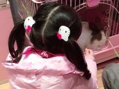 -藦茜花园宠物主题亲子互动体验馆(国顺东路店)