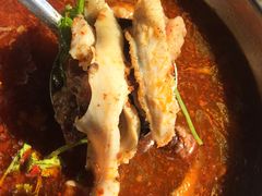 -刘艳黄牛肉(九襄店)