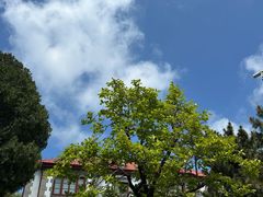 -烟台山景区