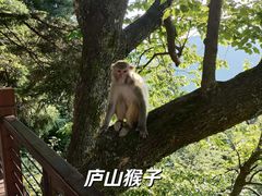 -庐山风景名胜区