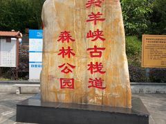 -羚羊峡古栈道森林公园