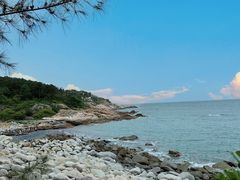 -广东惠东海龟国家级自然保护区