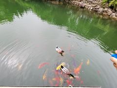 -白马涧龙池景区