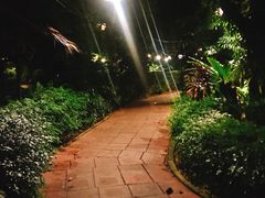-卷心菜和避孕套餐厅(Pattaya)
