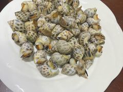 白灼花螺-小铜锣湾海鲜家常菜馆(河西店)