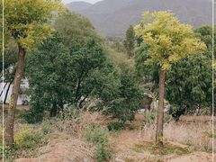 -十三陵水库