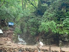 -本溪汤沟绿石谷森林公园