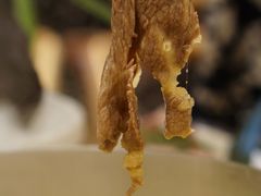 -湯系·煲汤手艺人(东二环泰禾广场店)