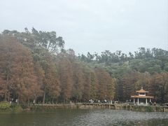 -深圳仙湖植物园
