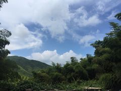 -宁波浙东大竹海景区