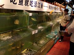 水产区-胖姐渔村(中源大道店)