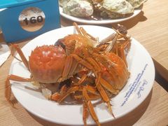 -星伦多自助料理(爱琴海店)