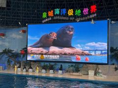 -泉城欧乐堡海洋极地世界