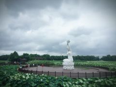 -荷塘月色湿地公园·向阳花洲
