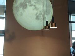 -老板恋上鱼(印象城店)