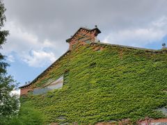 -上海影视乐园