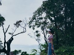 -海南热带雨林国家公园吊罗山景区