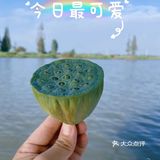 无锡周边游推荐小众地之马家荡