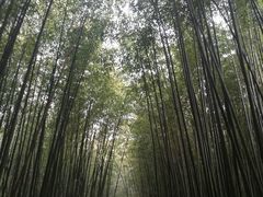-竹泉村旅游度假区