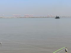 -大湾区中央湿地公园