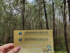 -合肥滨湖国家森林公园