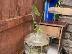 -又见炊烟私房菜(敬亭路店)