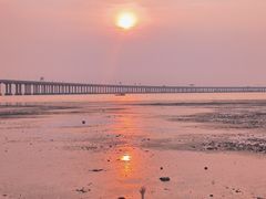 -宝安西湾红树林湿地公园