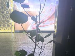 -涟LIAN·泰式按摩·MASSAGE·SPA(深业上城店)