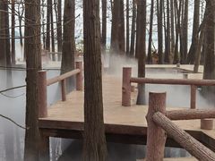 -东湖落雁景区