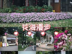 -海珠湖公园
