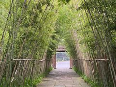 -新荣记(西溪湿地店)