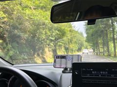 -大围山国家森林公园