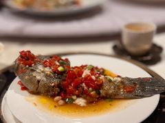 -皇朝会.经典传统粤菜(外滩店)